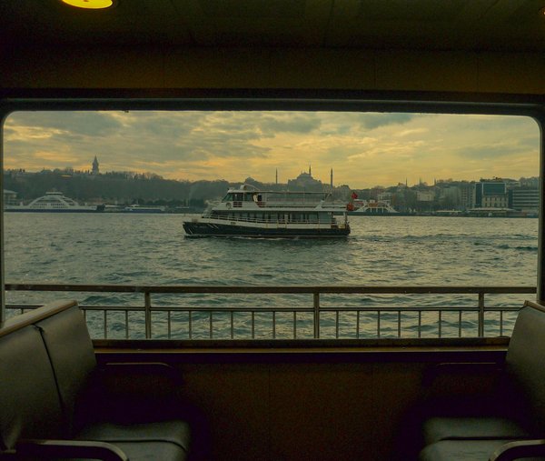 Comment organiser une croisière pour observer les baleines bleues en Antarctique?