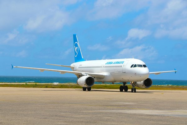 Quels sont les meilleurs spots pour observer les tortues géantes aux Seychelles?